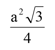 a06.jpg